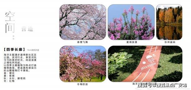 -2025楼盘评测_售楼处电话丨房价丨详情丨地址丨楼盘百科详情AG真人平台app国贸虹桥璟上(国贸虹桥璟上售楼处)首页网站(图7)